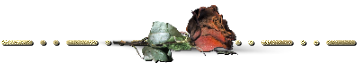 rossoveneziano separatore